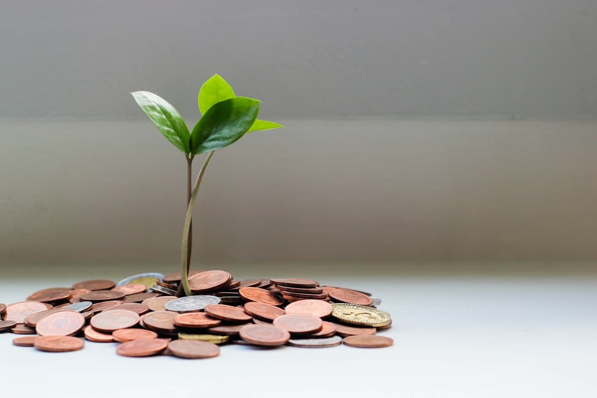 The Rise of Fintech in Africa: A Story of Resilience and Innovation